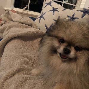 Meet your Posher, Samantha